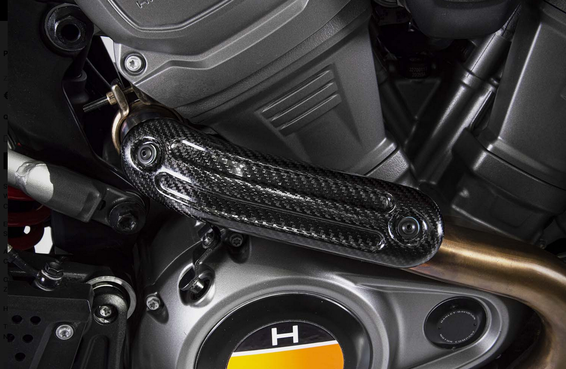 ZARD Slip on Exhaust for Harley Davidson Pan America 1250